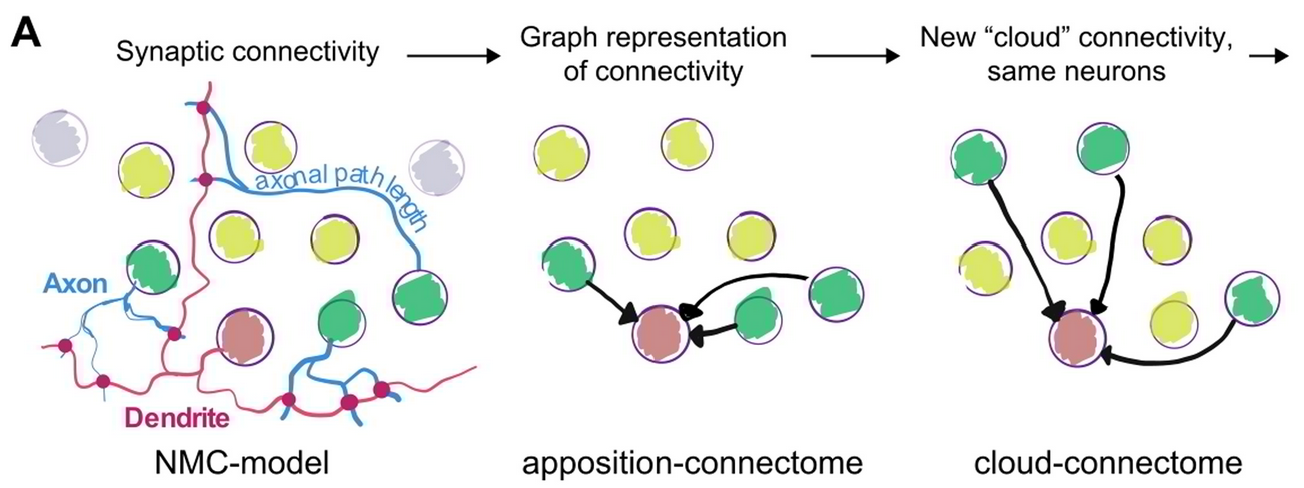 cloud_connectome